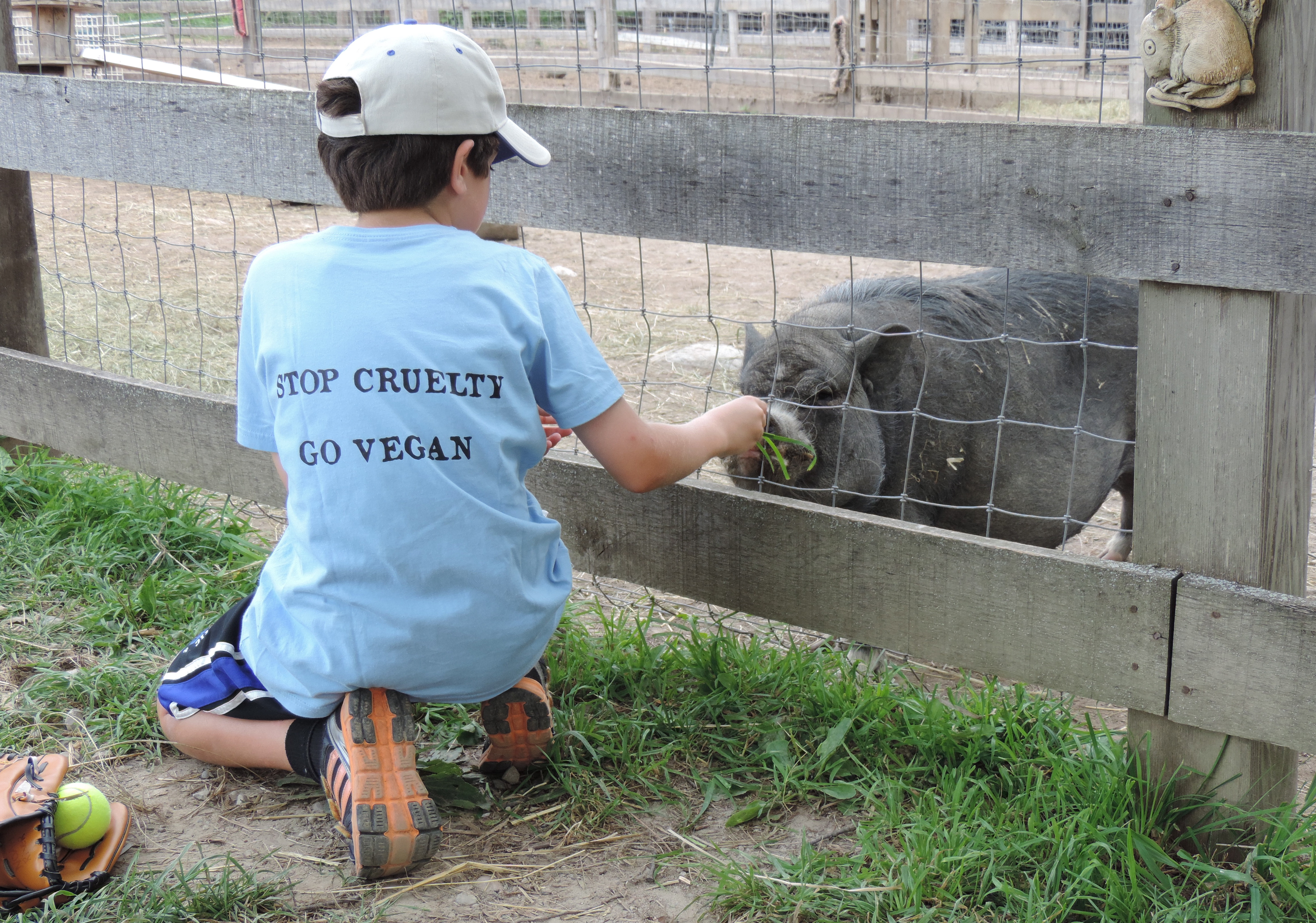 Noah feeding piggie with vegan shirt